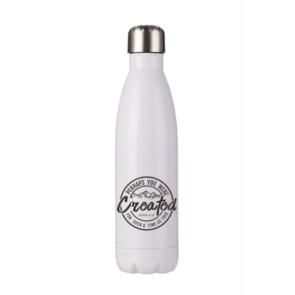 Perhaps you were created - Stainless Bottle Thumbnail
